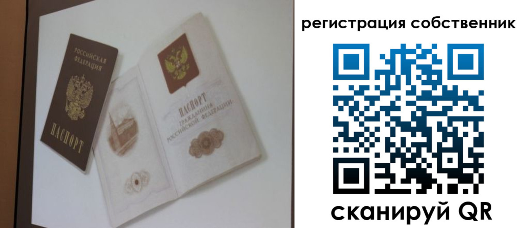 временная регистрация надежно в Курганской области